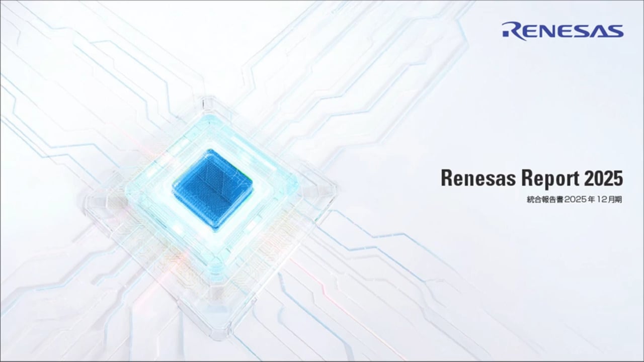 2025 Business &amp; Sustainability Report