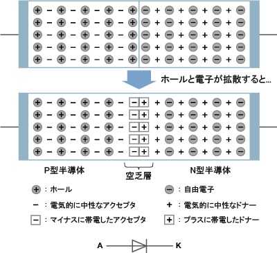 図1 PN接合ダイオードの構造