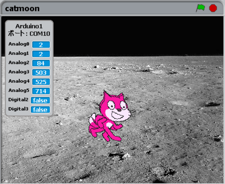 Cat drifting on the moon
