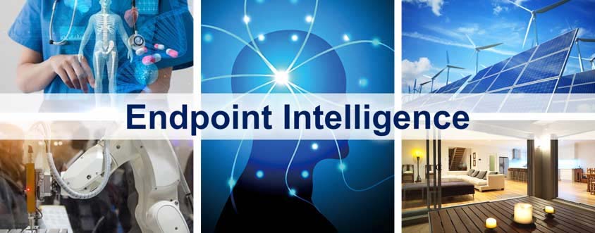 Endpoint Intelligence