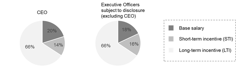 Executive Compensation Pie Chart