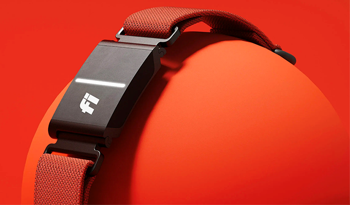 Fi Smart Collar