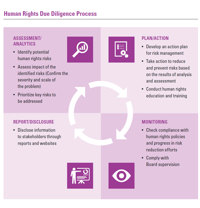 Human Rights Due Diligence Process