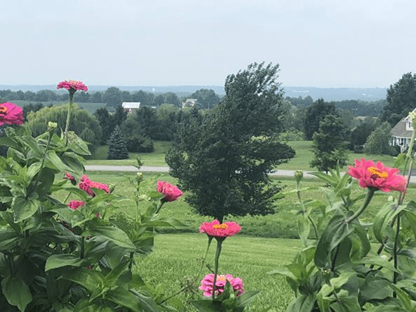 Figure 1 Rural Farmland in Western New York