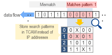 Store search patterns  in TCAM instead of  IP addresses
