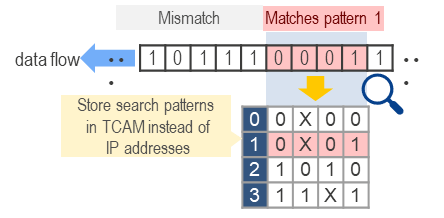 Store search patterns in TCAM instead of IP addresses