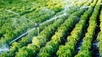 Renesas Initiatives in Smart Agriculture - Part 1