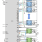 ISL68229 - Typical Applications Diagram