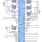 ISL95855 Functional Diagram