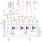 RG8G31420 Block Diagram