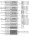 TW2866C Functional Diagram