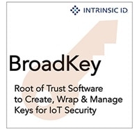 Intrinsic ID BroadKey Logo
