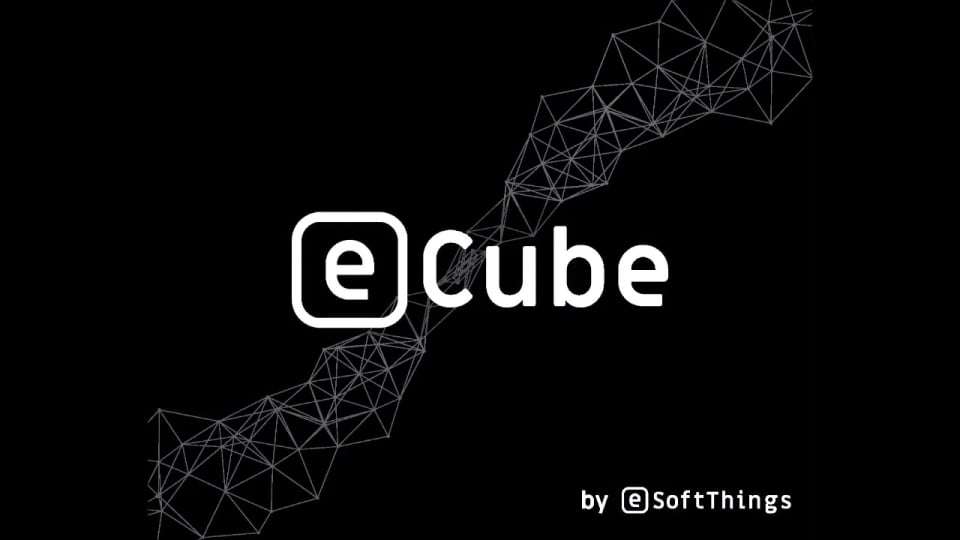 eCube Detection & Tracking SW (eSoftThings)