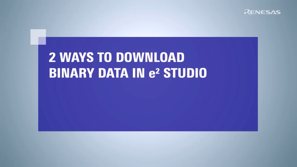 e² studio Tips - 2 Ways to Download Binary Data