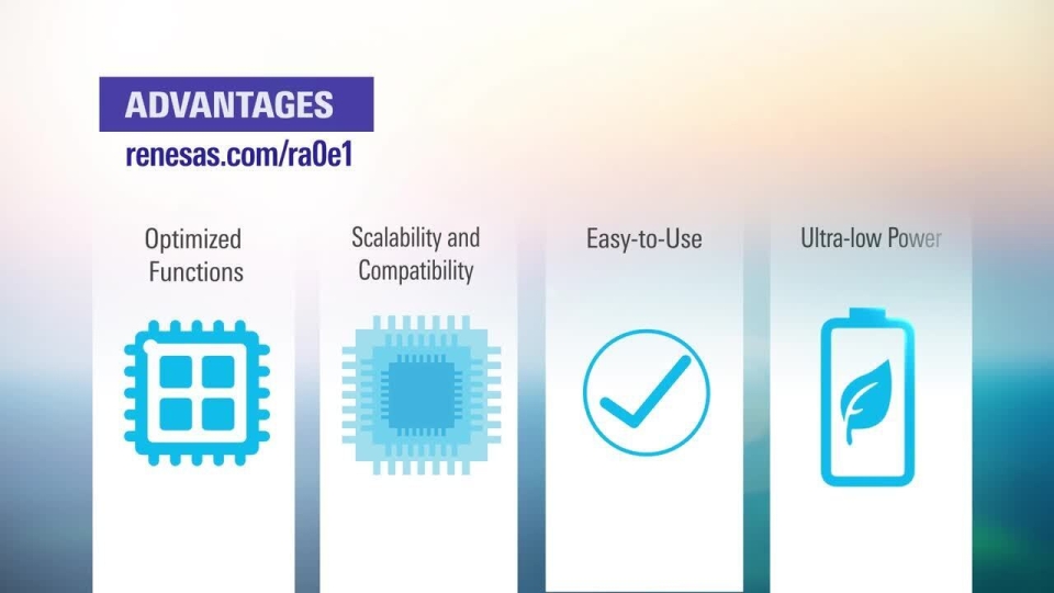 RA0E1 32 MHz Arm Cortex-M23 Core