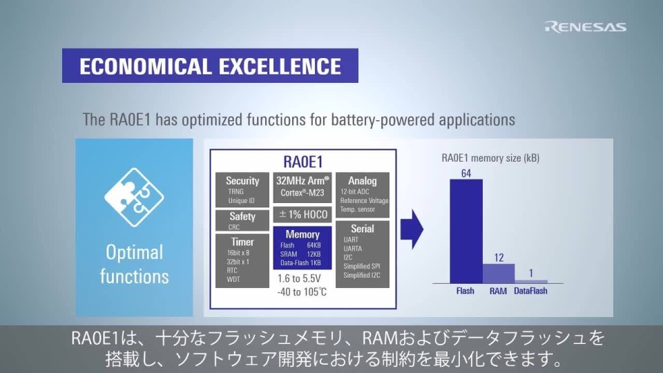 RA0E1 製品紹介