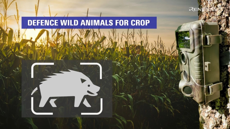 RZ/V AI Applications - Defense Wild Animals for Crop